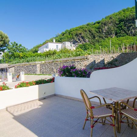 La Capannina - Hotel & Apartments Ischia Eksteriør billede
