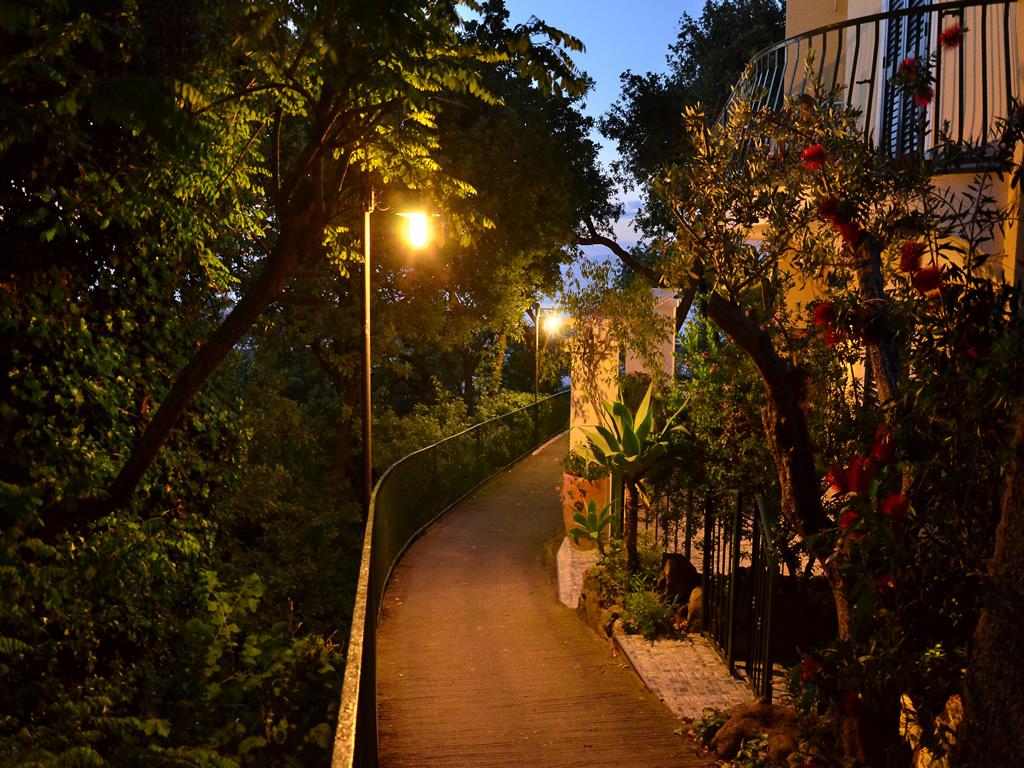 La Capannina - Hotel & Apartments Ischia Eksteriør billede