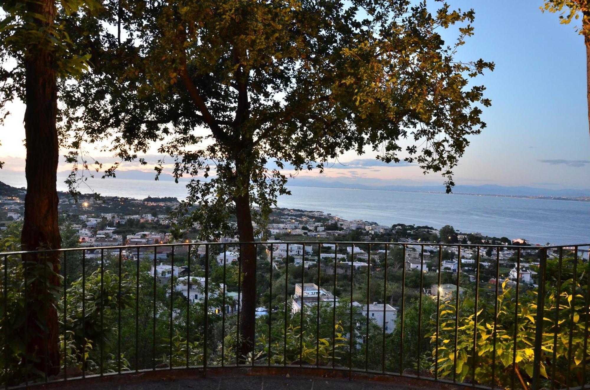 La Capannina - Hotel & Apartments Ischia Eksteriør billede