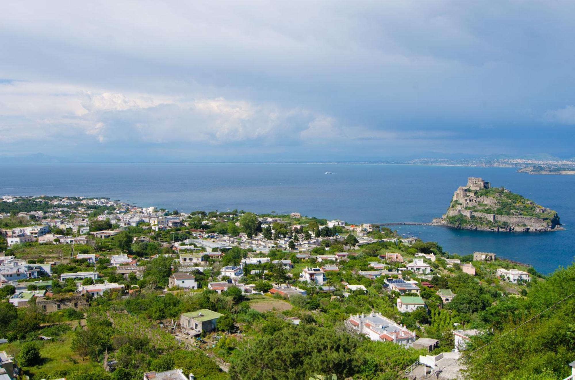 La Capannina - Hotel & Apartments Ischia Eksteriør billede