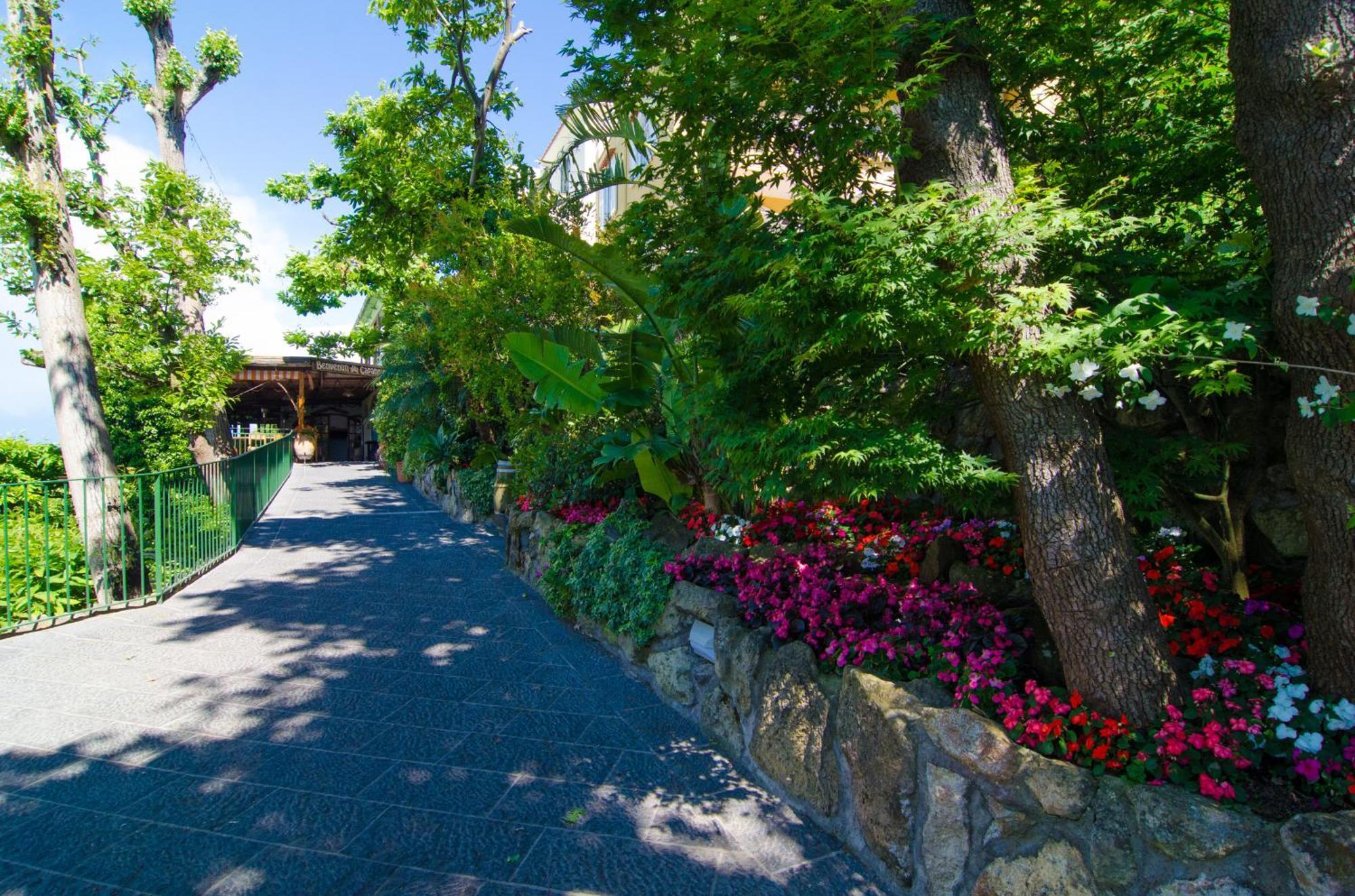 La Capannina - Hotel & Apartments Ischia Eksteriør billede
