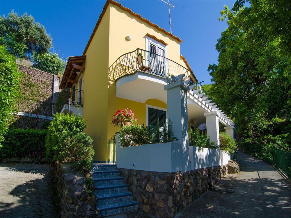 La Capannina - Hotel & Apartments Ischia Eksteriør billede